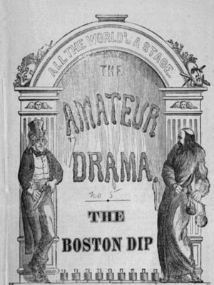 cover image of The Boston Dip
